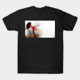 A White Cat T-Shirt